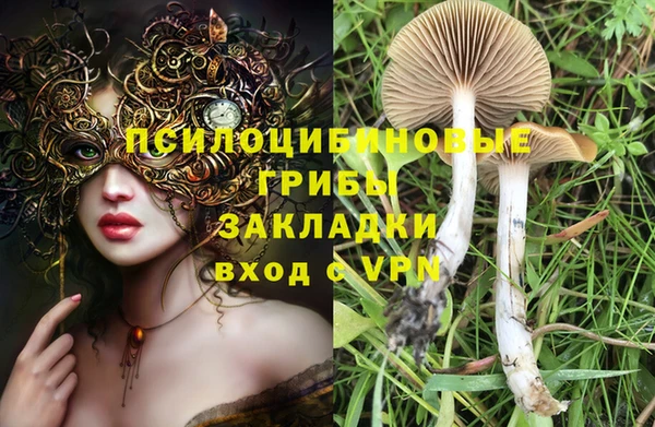 мескалин Елабуга