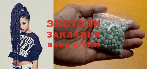 гашик Ельня