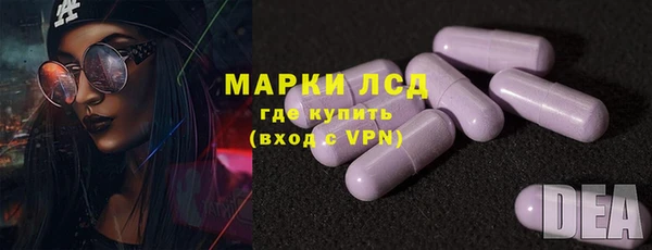 гашик Ельня