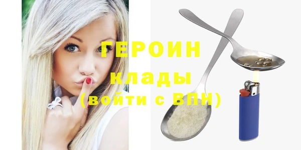 гашик Ельня
