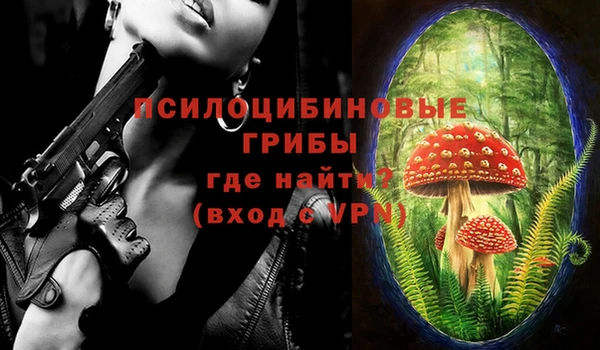 гашик Ельня