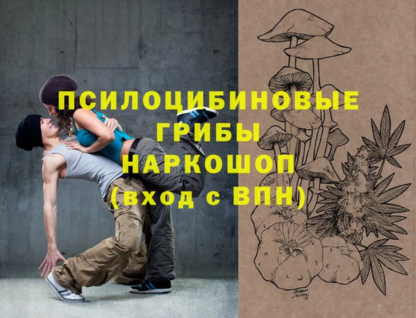 мескалин Елабуга