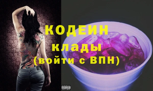 гашик Ельня