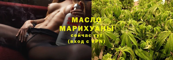 гашик Ельня