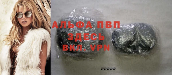 гашик Ельня