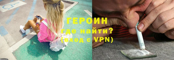 гашик Ельня