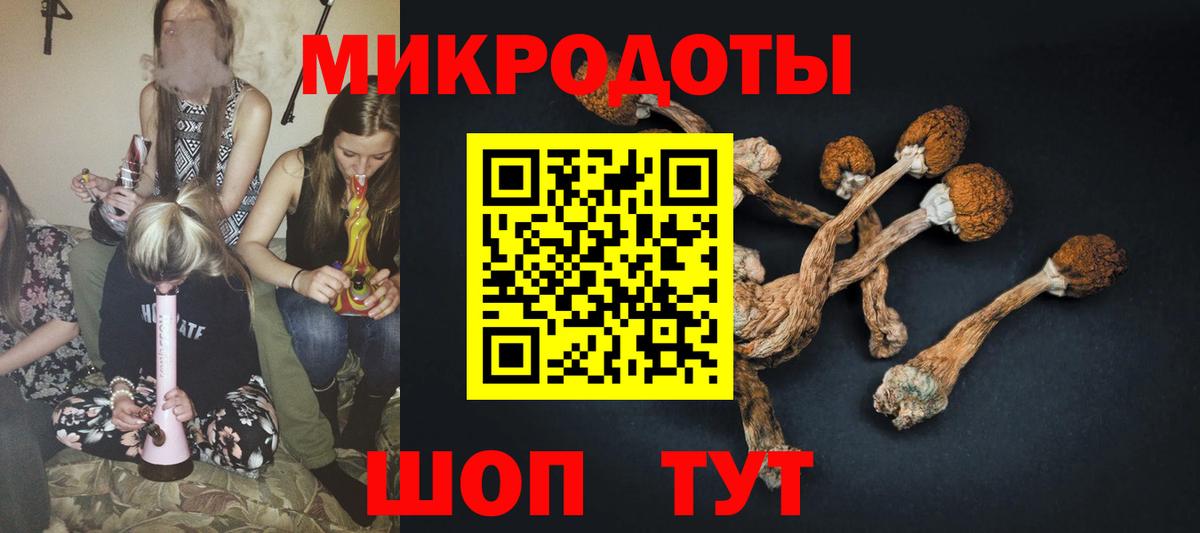 Галлюциногенные грибы ЛСД  Вход с VPN  Галлюциногенные грибы Magic Shrooms  Тихорецк 