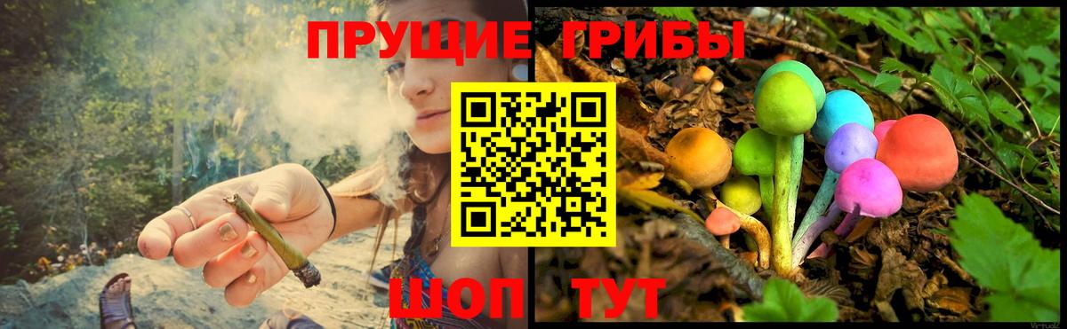 Галлюциногенные грибы Cubensis Тихорецк